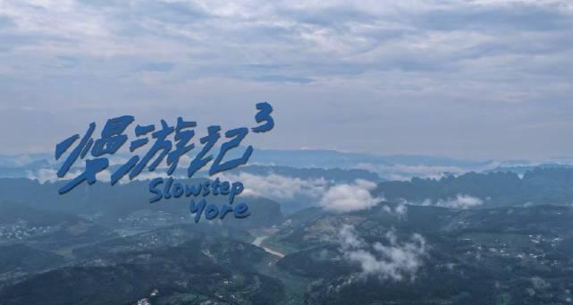 孫楊轉戰護林隊背後的真相:從奧運冠軍到森林守護者的心路歷程