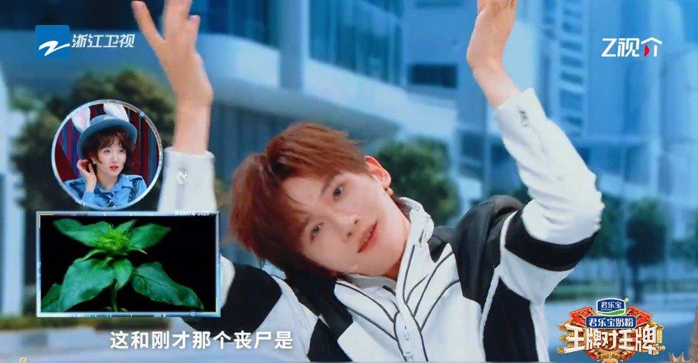 余宇涵演繹花的極速一生:抽象藝術引爆笑點