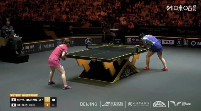 海外華人追劇困擾有解!張本美和逆轉勝背後隱藏著怎樣的技術突破