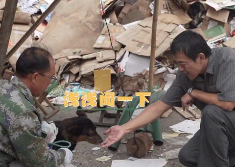 海外追劇族福音:解決愛奇藝區域限制卡頓問題的實用技巧分享