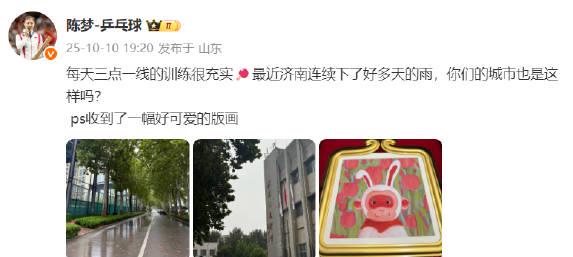 海外華人留學生如何解決愛奇藝版權限制與加載失敗問題