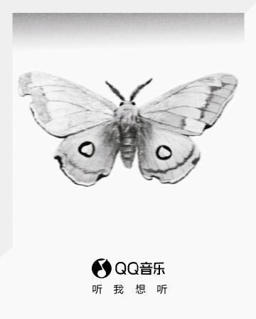 海外華人留學生必看:QQ音樂版權限制解決全攻略,輕鬆收聽最新單曲《冬蛾》
