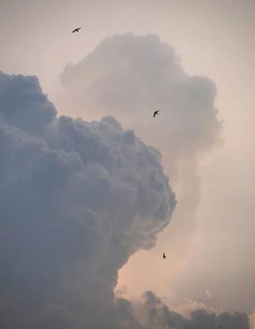 人在國外追劇好難？愛奇藝卡頓、下載失敗、加載慢的解決思路分享